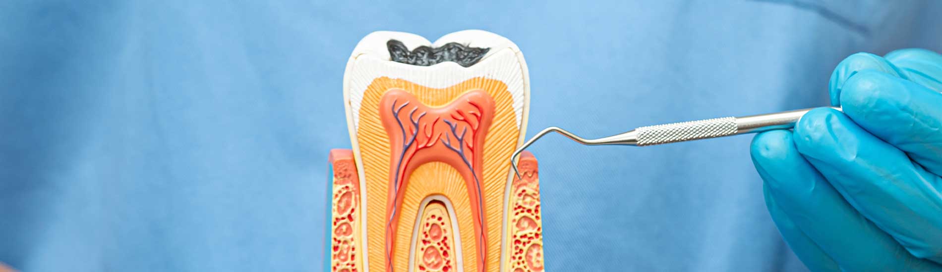 Monarch Dentistry